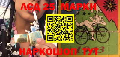 крисы Боровичи