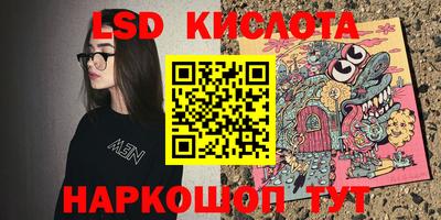 крисы Боровичи