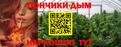 крисы Боровичи